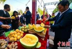 红领巾爆料吃瓜最新