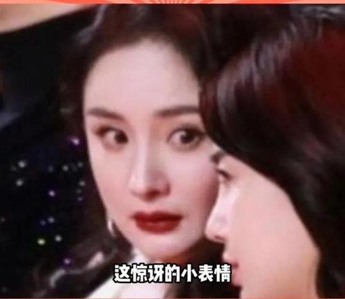 娱乐圈有没有瓜吃啊